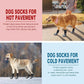 EXPAWLORER Anti Slip Dog Socks to Prevent Licking Paws, Dog Shoes for Hot Pavement, Dog Booties for Small Medium Large Senior Dogs, Traction Control Boots & Paw Protectors for Hardwood Floors