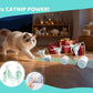 Remote Control Cat Toy with Auto Mode - Interactive Cat Toy Feather for Indoor, Moving Cats Catnip Toys & LED to Keep Bored Cats Active & Entertained