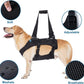 Dog Lift Harness, Rehabilitation Lifts Vest for Dogs, Support & Recovery Sling, Adjustable Breathable Lifting Straps for Old, Joint Injuries, Arthritis, Paralysis Dogs Walk (S, Black)