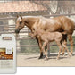 UltraCruz® Equine Multi-Oil Blend, 4 x 1 gal