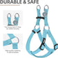 PUPTECK No Pull Dog Harness Soft Adjustable Basic Nylon Step in Puppy Vest Outdoor Walking with ID Tag and A-ir Tag Case, Sky Blue, L