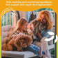 Antiseptic Wipes for Dogs Cats and Horses | Dog Chlorhexidine Wipes with Ketoconazole Dermatological Pads Hot Spots Itchy Paws Skin Rashes