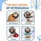 Dog Cone Collar to Stop Licking: Breathable Mesh Elizabeth Recovery Collar Alternative with Soft Padded After Surgery Neuter Spay Wound, for Large Medium, Small Dogs, Normal Eating and Drinking