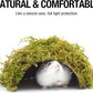 Hamster Hideout - Large, Natural Moss, Handcrafted for Syrian Hamsters, Rats & Guinea Pigs, Safe & Eco-Friendly