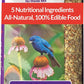 Lyric Delite Wild Bird Seed - No Waste Bird Food Mix with Shell-Free Nuts & Seeds - Attracts Buntings, Chickadees & Finches - 20 lb bag