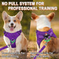 Dog Harness Step in Dog Vest Harness, Reflective Adjustable Puppy No Pull Harness Breathable Soft for Small and Medium Dogs Cats, Purple, XXS