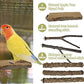 Bird Toys, Natural Parrot Toys for Small Macaws, Budgies, Lovebirds, Finches, Small and Medium Sized Birds Peppercorn Wood Apple Tree Perch Wood Set