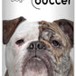 The Blissful Dog Olde English Bulldogge Unscented Nose Butter - Dog Nose Butter, 0.50 Ounce