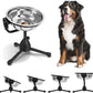 Elevated Dog Bowl with Adjustable Metal Stand, Medium Size for Dogs 30-70 lbs, 0.5 Gal 2 Liter, Stainless Steel Food & Water Bowl Set