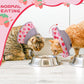 EXPAWLORER Cat Recovery Cone Collar- Soft Adjustable Pet Collar for After Surgery, Waterproof Elizabethan Protective Collar, Stop Licking Donut for Small Medium Kittens (Strawberries M (8.5-12 in))