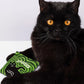 Blue Q Duuuuuuude Catnip Cat Toy. Premium Organic Catnip Grown in The USA, 100% Cotton Pouches, Kitty Graphics Sure to Delight Every Cat-Keeper.