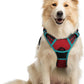 rabbitgoo Dog Harness No Pull with 2 Leash Clips, Adjustable Soft Padded, Reflective Oxford No Choke Pet Vest with Easy Control Handle for Medium Sized Dogs, Red & Teal, M