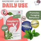 Snout and Shell Raspberry Leaf for Small Pets – 100% Natural Treat for Rabbits, Guinea Pigs, Hamsters & More – Rich in Vitamin C & Supports Gut Health – 1 oz (30g)