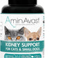 AminAvast Small Dogs & Cat Kidney Support - Promotes Healthy Kidney Support in Cats & Small Dogs - 300mg, 60 Capsule
