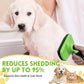 Large Self Cleaning Deshedding Brush for Dogs & Cats - One Button Hair Release Grooming Tool, Gentle Massage Brush for Long and Short Hair (Green)
