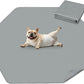 FXW Washable Pee Pads for Dogs, Puppy Pads with Super Absorbent, Specifically Designed for FXW Rollick/Homeplus 24inch 6 Panels Dog Playpen, 31" Hexagon, Gray, 1 Pack