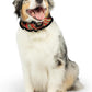 Huxley & Kent Ruff Pet Scrunchy | Shiny Christmas Plaid (Extra-Small) | Festive Christmas/Holiday Neckwear for Dogs/Cats | Fun Stretchable Costume Accessory | Soft Collar with Bells