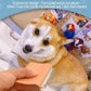 Dog Brush for Shedding | Pet Hair Removal Tool, Cat Grooming Supplies, Deshedding Dog Brush | Combs for cleaning & grooming short and long hair (4.3 Inch (M))