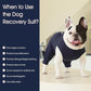 IECOii Pet Surgery Recovery Suit,Breathable Dog Bodysuit E-Collar & Cone Alternative Surgical Suit After Spayed/Neutered Wear,Recovery Suit for Dogs Male Female Sleeve to Prevent Licking,XL-Blue