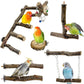 BNOSDM Natural Wood Bird Ladder Perch 6Pcs Parrot Stand Branches Climbing Chewing Stick Parakeet Swing Toys Cage Accessories Paw Grinding Fork Sets for Lovebirds Cockatiels Conure Budgies