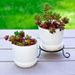 50 Pack 4 Inch Plant Pots Bulk Small Plastic Planters Pots with Drainage Holes Flower Pot for Succulent, Cactus, Herb, African Violet (50pcs-White, 4Inches)