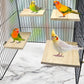 2pcs Bird Perch platform flat Stand Beak Paw Grinding wood for Parrot Parakeet Cockatiel Lovebird Conure Finch Budgie