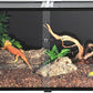 REPTIZOO Large 120 Gallon Reptile Terrarium, Reptile Tank 48" x 24" x 24" Black-Tinted Eco-Terrarium