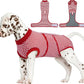 FUAMEY Dog Recovery Suit Male,Dogs Surgery Neuter Suits Puppy Spay Shirts for Female Protect Dog's Skin Anti Licking Abdominal Wounds Doggie Onesie Pet Bodysuit Alternative to Cone Red Stripes XS