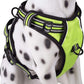 PoyPet No Pull Dog Harness, Reflective Comfortable Vest Harness with Front & Back 2 Leash Attachments and Easy Control Handle Adjustable Soft Padded Pet Vest for Small to Large Dogs (Green,XL)