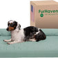 Furhaven Cooling Gel Dog Bed for Medium/Small Dogs w/ Removable Bolsters & Washable Cover, For Dogs Up to 35 lbs - Pinsonic Quilted Paw L Shaped Chaise - Iceberg Green, Medium