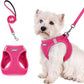 rabbitgoo Dog Harness Small Sized and Leash Set, Step in Soft Light Puppy Vest, Breathable Mesh Pet Harness, Reflective for Safe Easy Walking, Rose Red S