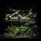 Ultum Nature Systems Controsoil - Freshwater Aqua Soil Substrate for Fish, Shrimp, Live Plant Propagation and Aquascaping - 6.8pH Low Ammonia, Volcanic Ash - Black, Extra Fine (10 Liter | 20LB)