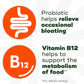 Align Probiotic, Bloating Relief + Food Digestion, Probiotics for Women and Men, Probiotic Helps Soothe Occasional Bloating*, With Vitamin B12 to Help Break Down Food into Cellular Energy*,60 Gummies
