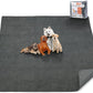 Washable Pee Pads for Dogs, 60x60 Reusable Whelping Pads, Absorb Dog Mats Non-Slip Puppy Training Pads for Whelping, Potty, Training, Playpen, Crate