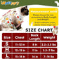Cat Recovery Suit for Spay Abdominal Wounds, Breathable Cat Onesie for Cats After Surgery Female, Kitten Surgical Recovery Suit Female Cone of Shame Alternative for Cats Anti Licking