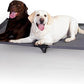 K&H Pet Products Elevated Outdoor Dog Cot Bed, Raised Cooling Bed with Washable Breathable Mesh for Large Dogs, Portable Raised Platform Pet Bed, Heavy Duty Metal Frame Hammock Bed, Jumbo, Gray