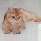 Cat Toys Balls with Feathers, 3 Pcs Interactive Cat Bouncy Balls for Indoor Cats and Playful Kittens, Rubber Kitten Ball Toys for Interactive Playing, Chase Training and Hunting Exercise