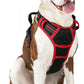 rabbitgoo Dog Harness No Pull with 2 Leash Clips, Adjustable Soft Padded, Reflective Oxford No Choke Pet Vest with Easy Control Handle for Large Dogs, Black & Red, L