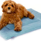 KindTail Dog Crate Pad - Soft Velvet, Reversible Bed - Machine Washable Kennel Mat for Pets up to 25 lbs - Mattress for Cozy Sleeping - 25” x 19” x 1” (Light Blue, Medium)