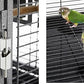 Portable Durable Heavy Duty Travel Veterinary Bird Parrot Carrier Cage Feeding Bowl Play Wooden Stand Perch with Handle Prevent Beaks Out