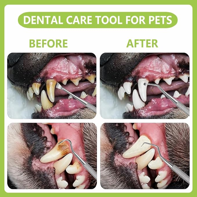Dental Tools Pet Dog Teeth Cleaner Tool Kit, Stainless Steel Plaque Remover Dental Picks Tooth Tartar Scraper, Pets Oral Care Hygiene Set for Cats and Dogs Use with Case
