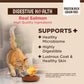 Wellness CORE+ Adult Dry Cat Food for Indoor and Outdoor Cats, Wholesome Grains, Natural, Digestive Health Salmon & Rice (11 Pound Bag)