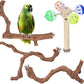 4-Piece Bird Perch Set with Rotating Ball Stand - Natural Wood Bird Gym & Playground for Parrots, Cockatiels, Budgies