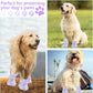 Dog Shoes, Dog Sandals for Hot Pavement, Non-Slip Waterproof Dog Booties for Winter Snowy Day and Summer, Adjustable Straps Easy-Clean Beach Outdoor Pet Boots Rugged Sole-4Pcs Purple