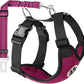 Lukovee Dog Seat Belt for Car, Adjustable Dog Car Harness for Large Medium Small Dogs, Soft Padded & Breathable Mesh Dog Seatbelt with Car Vehicle Connector Strap (Rose Red,Small)