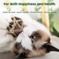 Potaroma Catnip Toys, 3Pcs Cat Toys Natural Silvervine Stick Cage Balls & Bell Ball for Indoor Cats, Kitten Cleaning Teeth Molar Matatabi Cat Chew Toy All Breeds