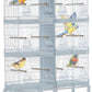 Lot-4 Breeding Bird Cage, Parrot Cage, Stackable Center Divided Breeder,Seperate Removable Tray, Removable Divider, Lockable Caster, for Birds and Finch