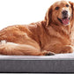 Orthopedic Memory Foam Dog Bed, Cooling Dog Beds Waterproof Pet Bed for Crate with Removable Washable Cover, L(35inch,65Lbs)