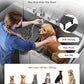 VEVOR Professional 304 Stainless Steel Dog Bathing Station, 61 inch Pet Grooming Tub w/Anti-Slip ramp, Storage Drawer, Cold Hot Faucet Showerhead for Large & Medium & Small (Right Door, with Drawer)