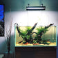 Java Fern Live Aquarium Plants - Potted Freshwater Plant for Fish Tanks - Beginner Friendly, Low Light (Java Fern, 1 Pot)